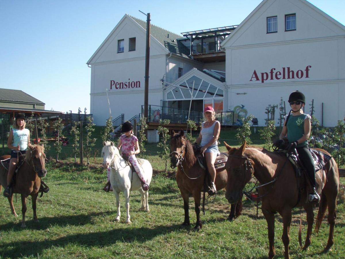 Pension Sonnengarten & Therme Included - Auch Am An- & Abreisetag! Locsmánd Kültér fotó